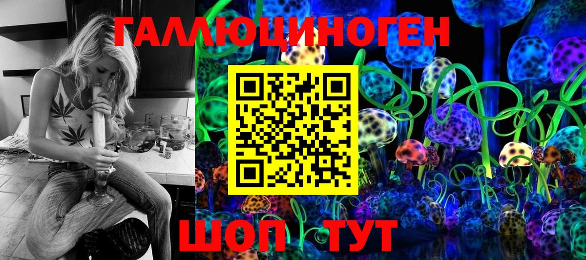 Псилоцибиновые грибы мицелий Унеча
