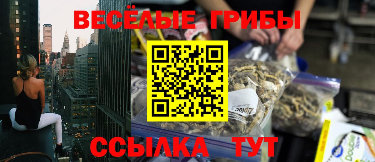 Унеча  Галлюциногенные грибы Magic Shrooms  Вход с VPN 